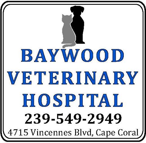 Vca Baywood Animal Hospital And Pet Resort - Cape Coral , United States