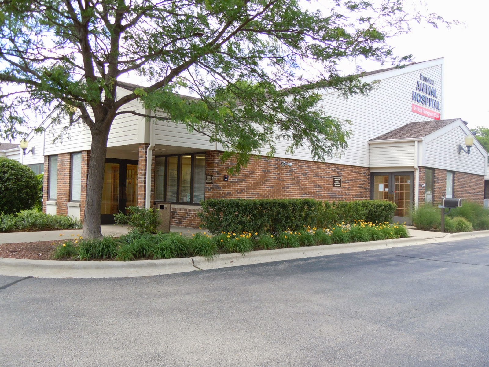 Dundee Animal Hospital - East Dundee , United States
