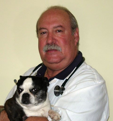 Pet Vet Animal Hospital - Winnetka , United States
