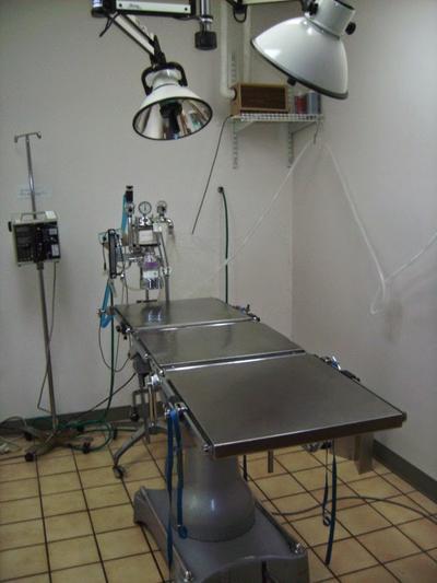 Business's Photo