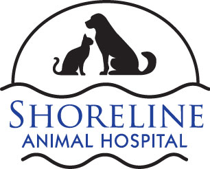 Shoreline Animal Hospital - Clinton , United States