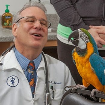 All Pet Animal Hospital - Gibsonia , United States