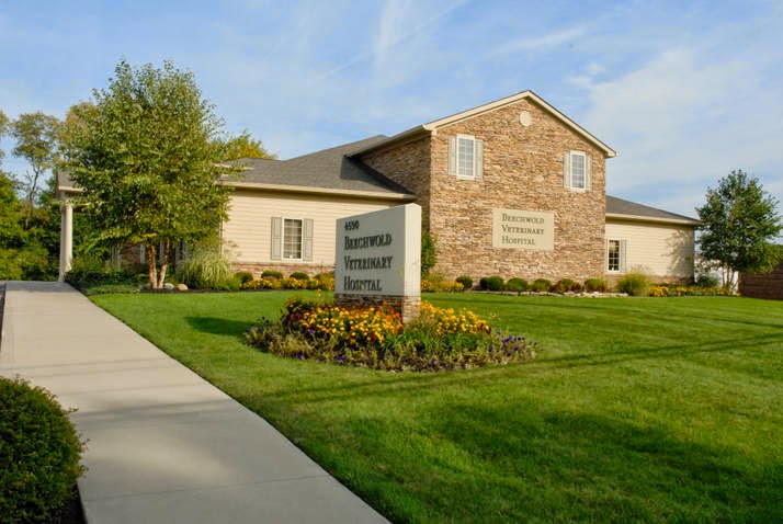 Beechwold Veterinary Hospital A Thrive Pet Healthcare Partner - Columbus , United States