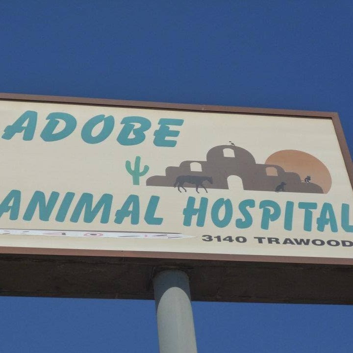 Adobe Animal Hospital - El Paso , United States