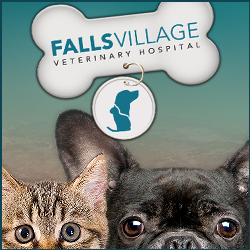 Falls Village Veterinary Hospital - Raleigh , United States