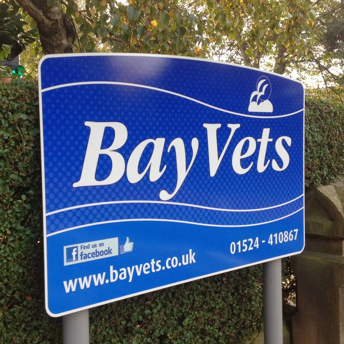 Bay Vets - Lancaster , United Kingdom