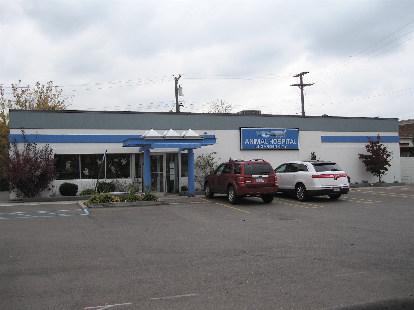 VCA Animal Hospital of Garden City - Garden City , United States
