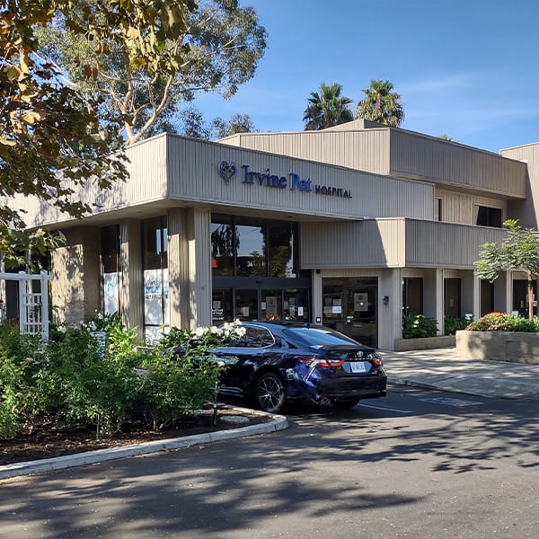 Irvine Pet Hospital - Irvine , United States