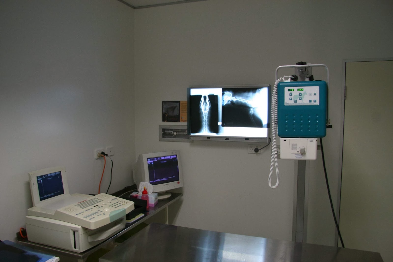 Pet Doctors Palm Beach - Palm Beach , Australia
