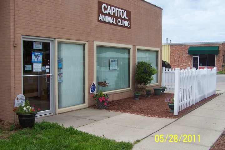 Capitol Animal Clinic Pc - Lincoln , United States