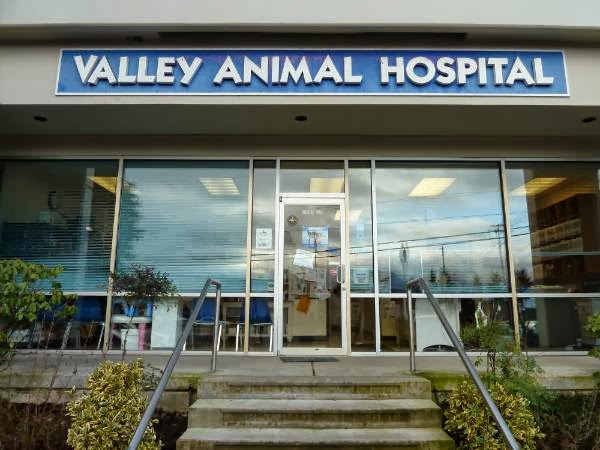 A Valley Animal Hospital - Auburn , United States