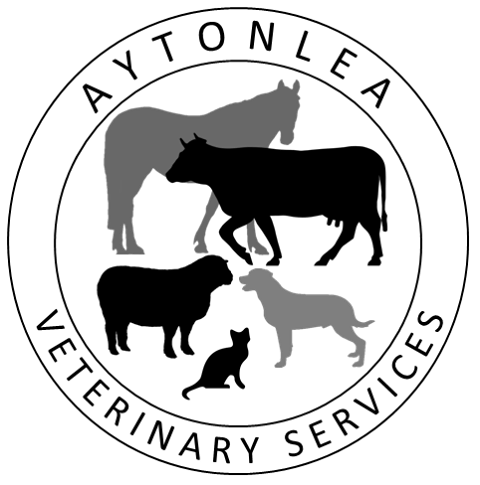 Aytonlea Veterinary Services - Tamworth , Australia