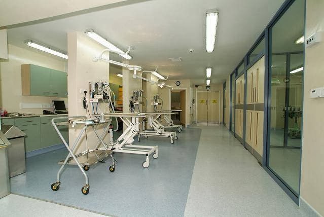 Drove Veterinary Hospital | Swindon - Swindon , United Kingdom