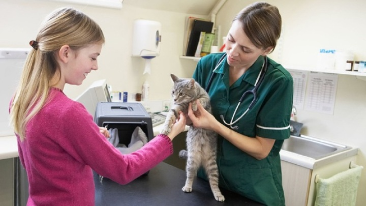 Medivet Littleover - Derby , United Kingdom