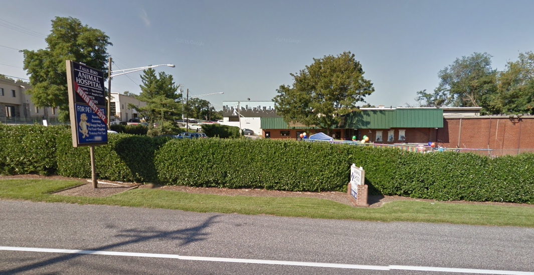Falls Road Animal Hospital - Baltimore , United States
