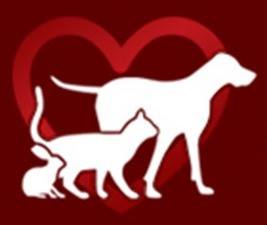 Bakenkop Animal Clinic - Centurion , South Africa
