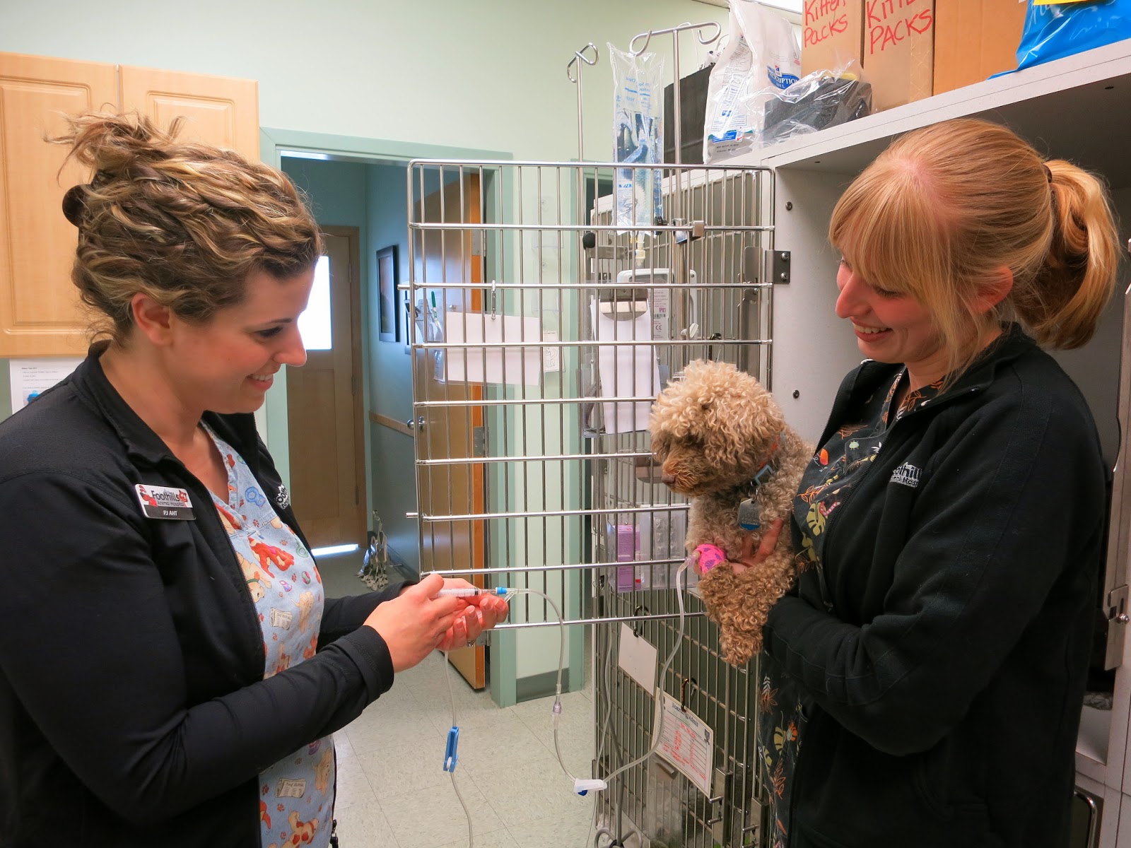 Foothills Animal Hospital - Okotoks , Canada