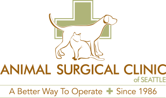 Animal Surgical And Orthopedic Center - Shoreline , United States
