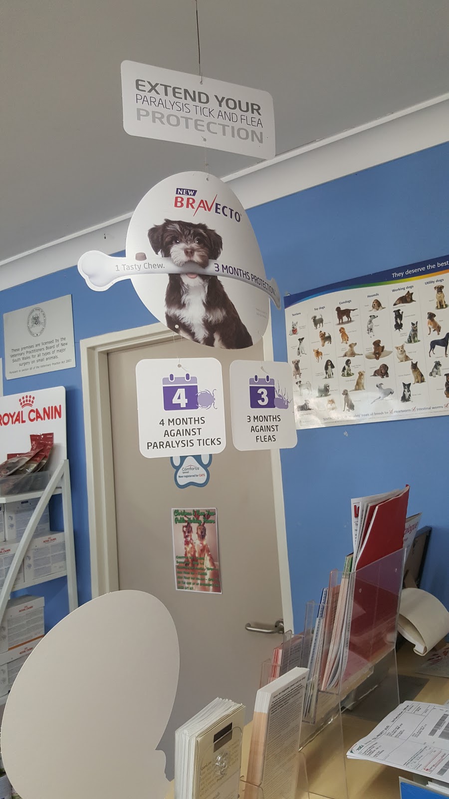 Rossmore Veterinary Hospital - Rossmore , Australia