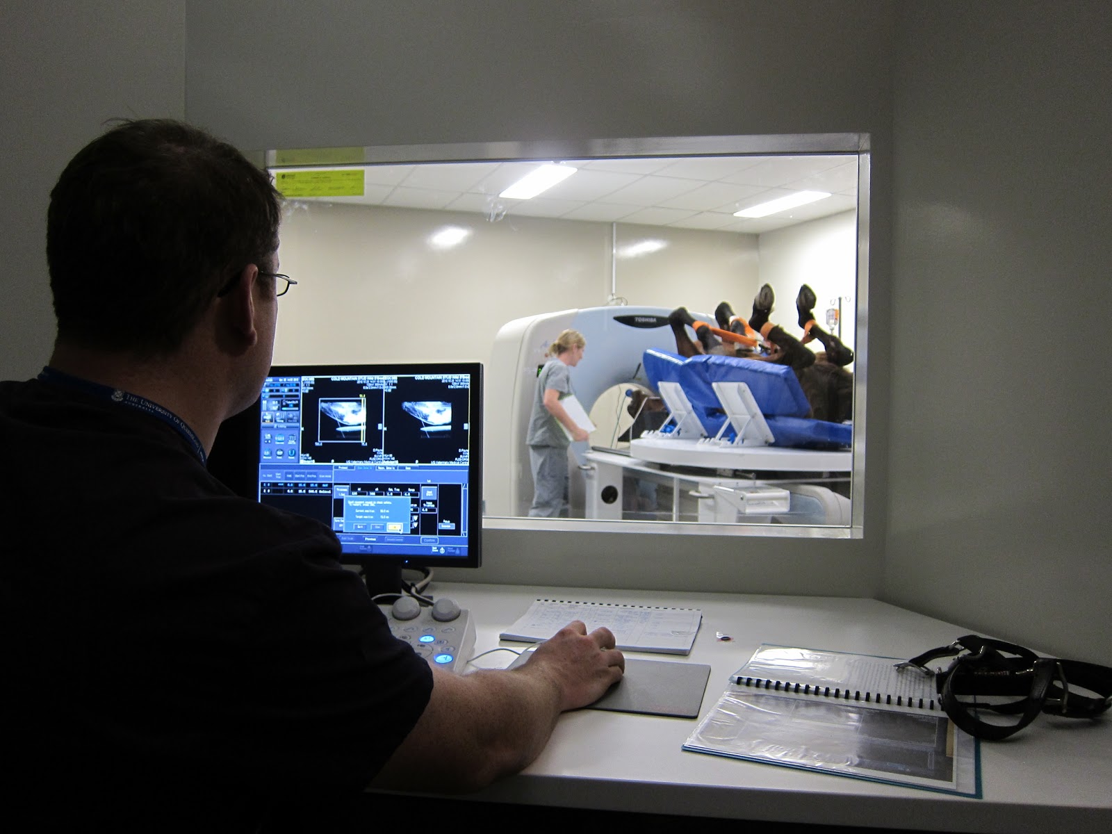 Uq Vets Equine Specialist Hospital - Lawes , Australia