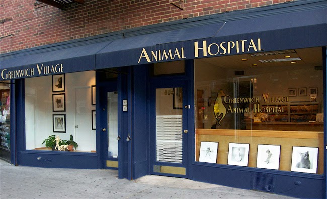 Greenwich Village Animal Hospital - New York , United States