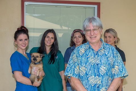 Redlynch Valley Vets - Redlynch , Australia