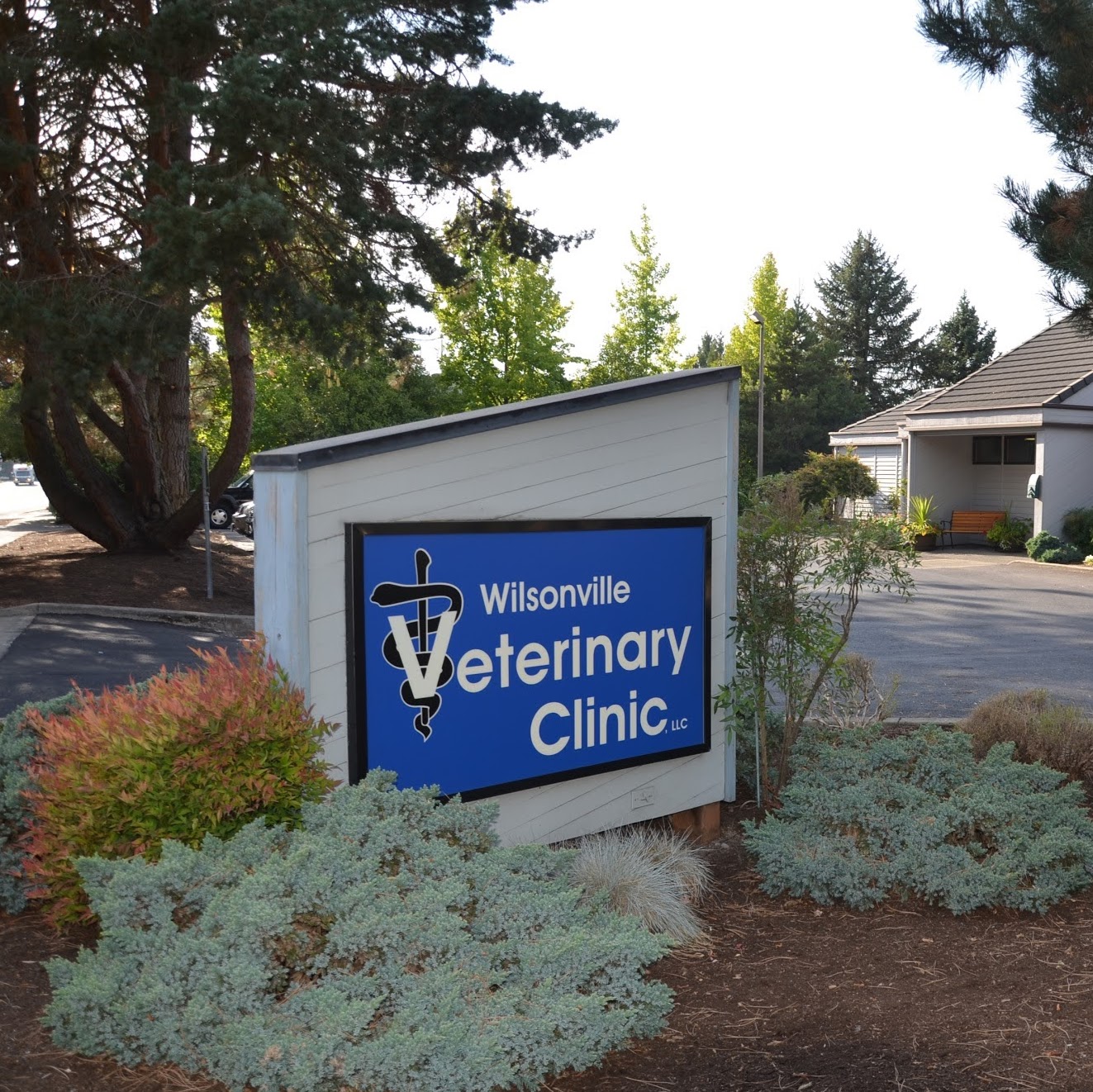 Wilsonville Veterinary Clinic - Wilsonville , United States