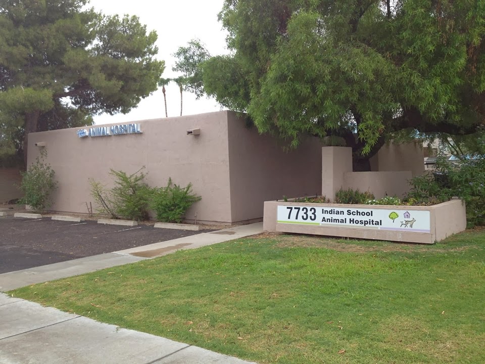 Indian School Animal Hospital - Scottsdale , United States