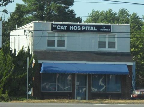 Cat Hospital of Tidewater - Norfolk , United States