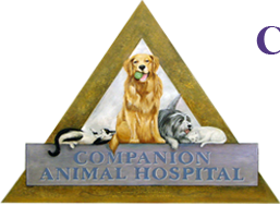 Companion Animal Hospital At Loggers Run - Boca Raton , United States