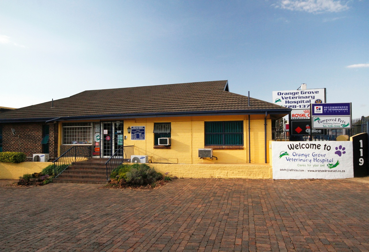 Orange Grove Veterinary Hospital O G V H - Johannesburg , South Africa