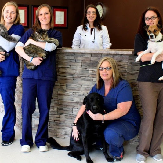 Lakeside Animal Hospital - Kingsville , Canada