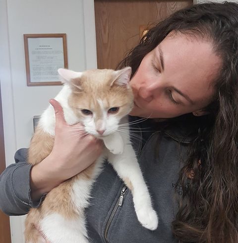 Honeoye Falls Veterinary Hospital - Honeoye Falls , United States