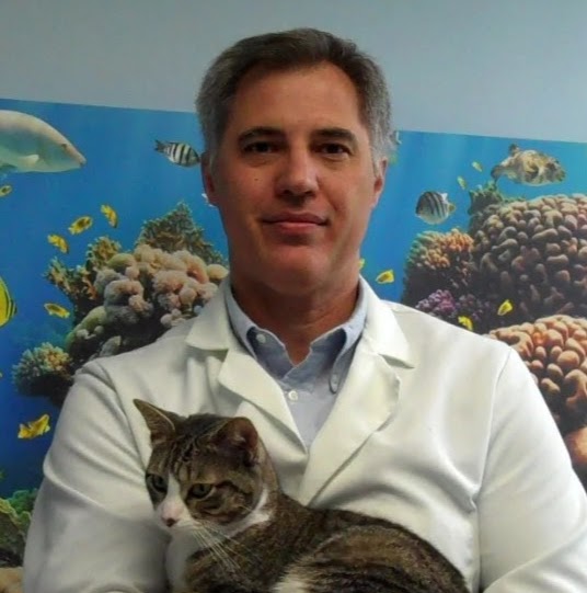 Merrick Animal Hospital - Brookfield , United States