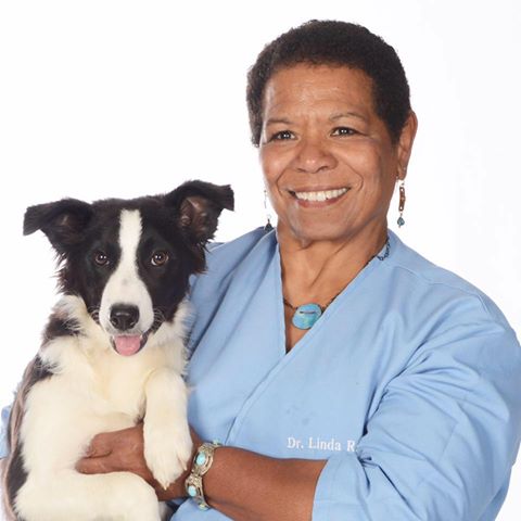 Cloverleaf Animal Hospital - Lodi , United States