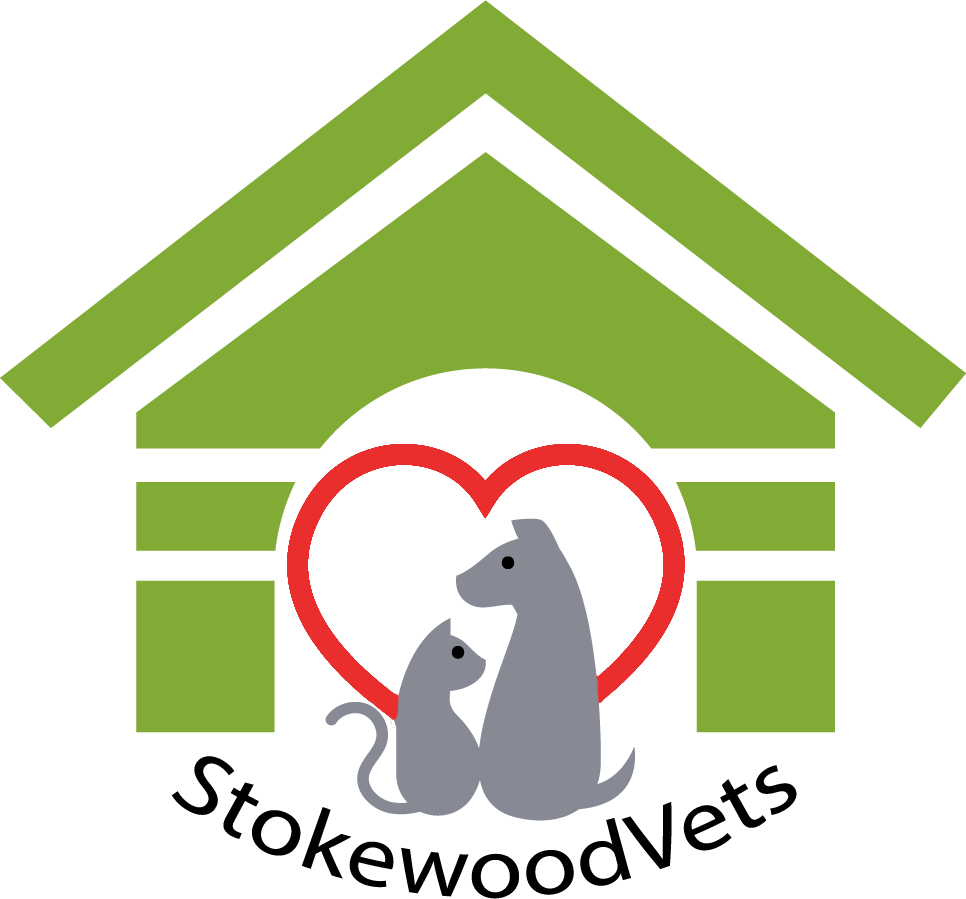 Stokewood Veterinary Centre - Bournemouth , United Kingdom