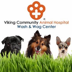 Viking Community Animal Hospital - North Canton , United States