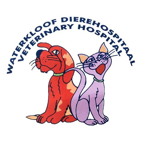 Waterkloof Animal Hospital - Pretoria , South Africa