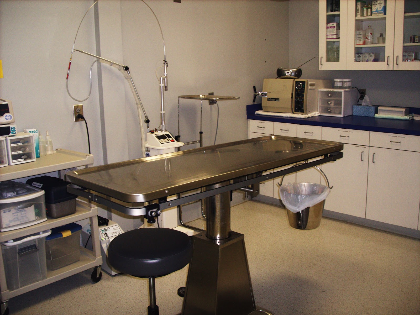 Mixed Pet Veterinary Hospital - Charlotte , United States