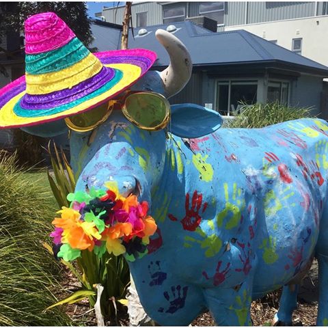 East Bentleigh Vet Clinic - Bentleigh East , Australia
