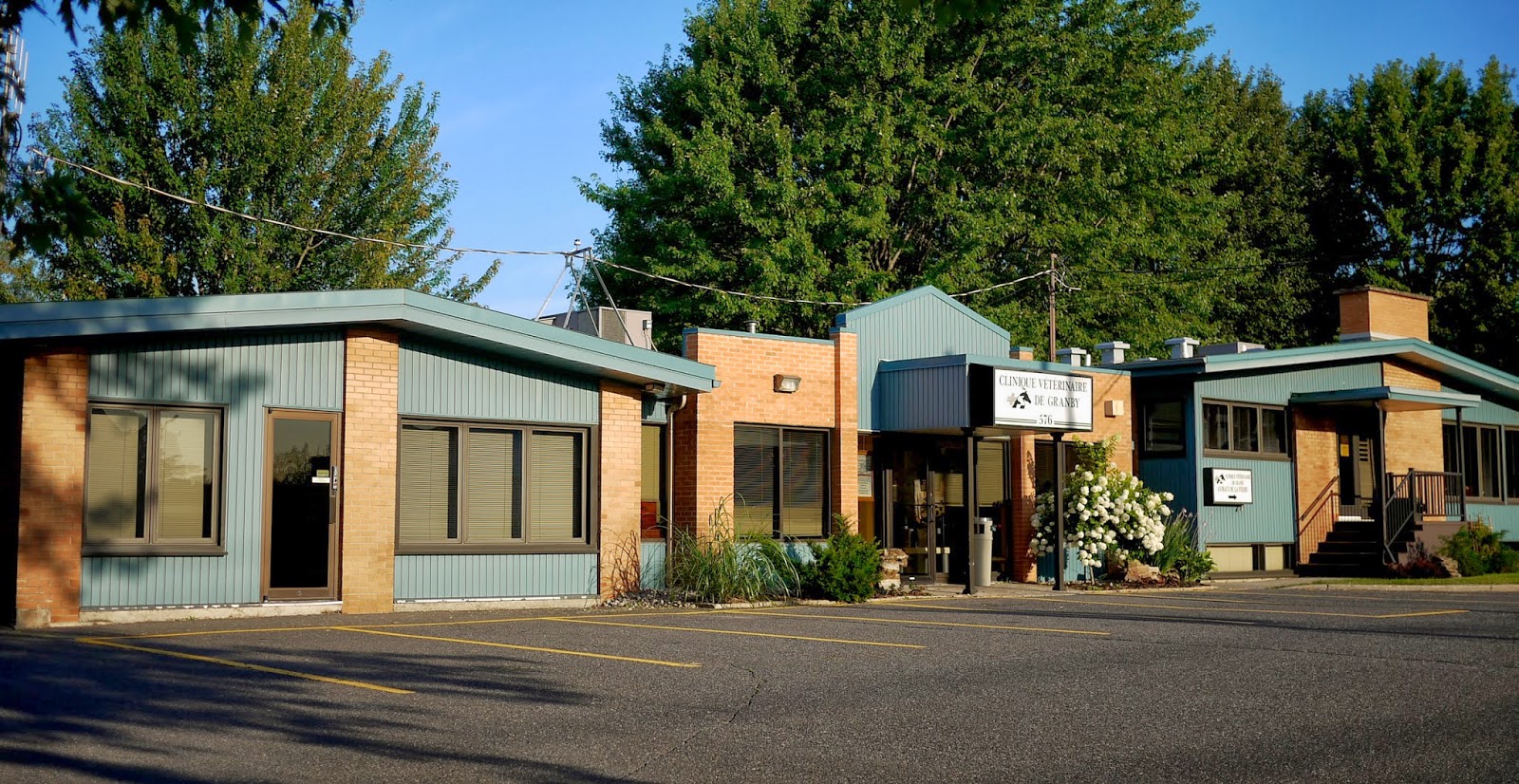 Clinique Vétérinaire De Granby - Granby , Canada