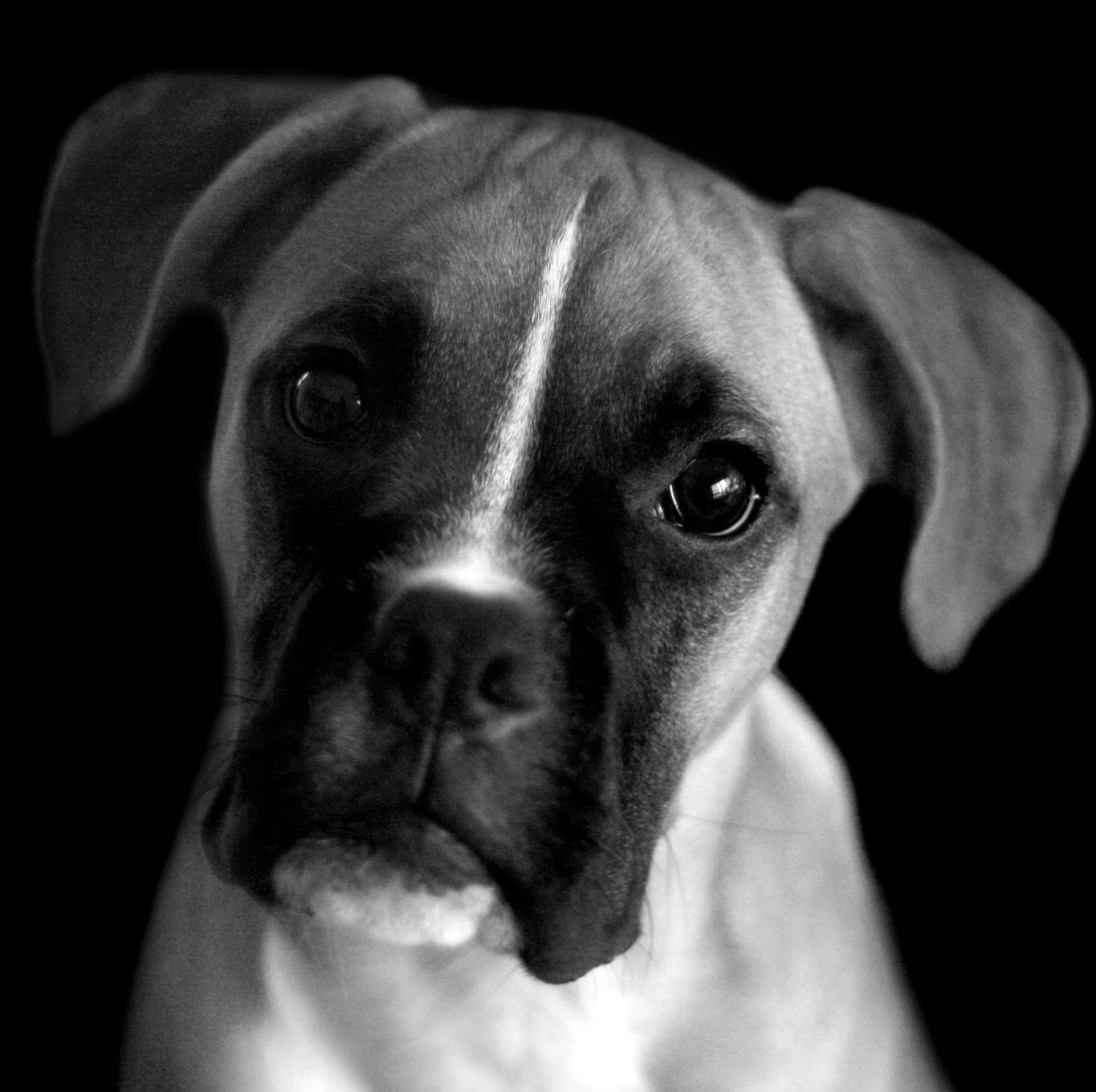 Briarglen Veterinary Clinic - Tulsa , United States