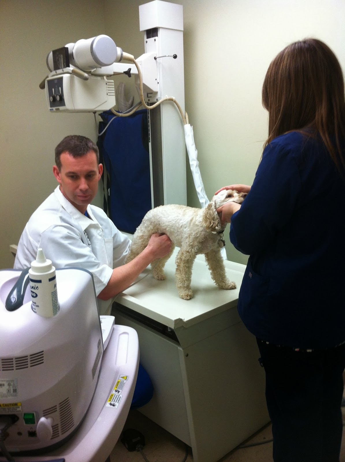 Hartland Park Animal Hospital - Lexington , United States