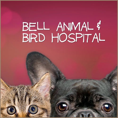 Bell Animal and Bird Hospital - Glendale , United States