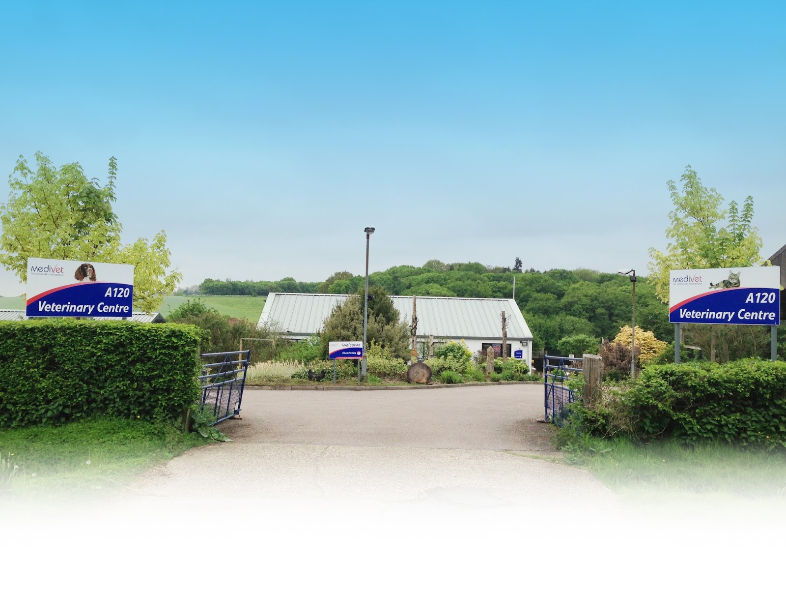 Medivet Little Hadham - Ware , United Kingdom