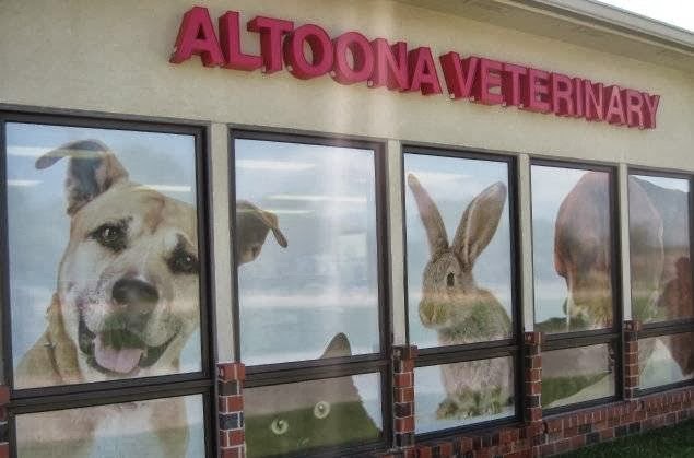 Altoona Veterinary Hospital - Altoona , United States