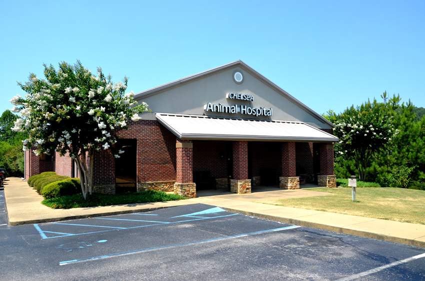 Chelsea Animal Hospital - Chelsea , United States