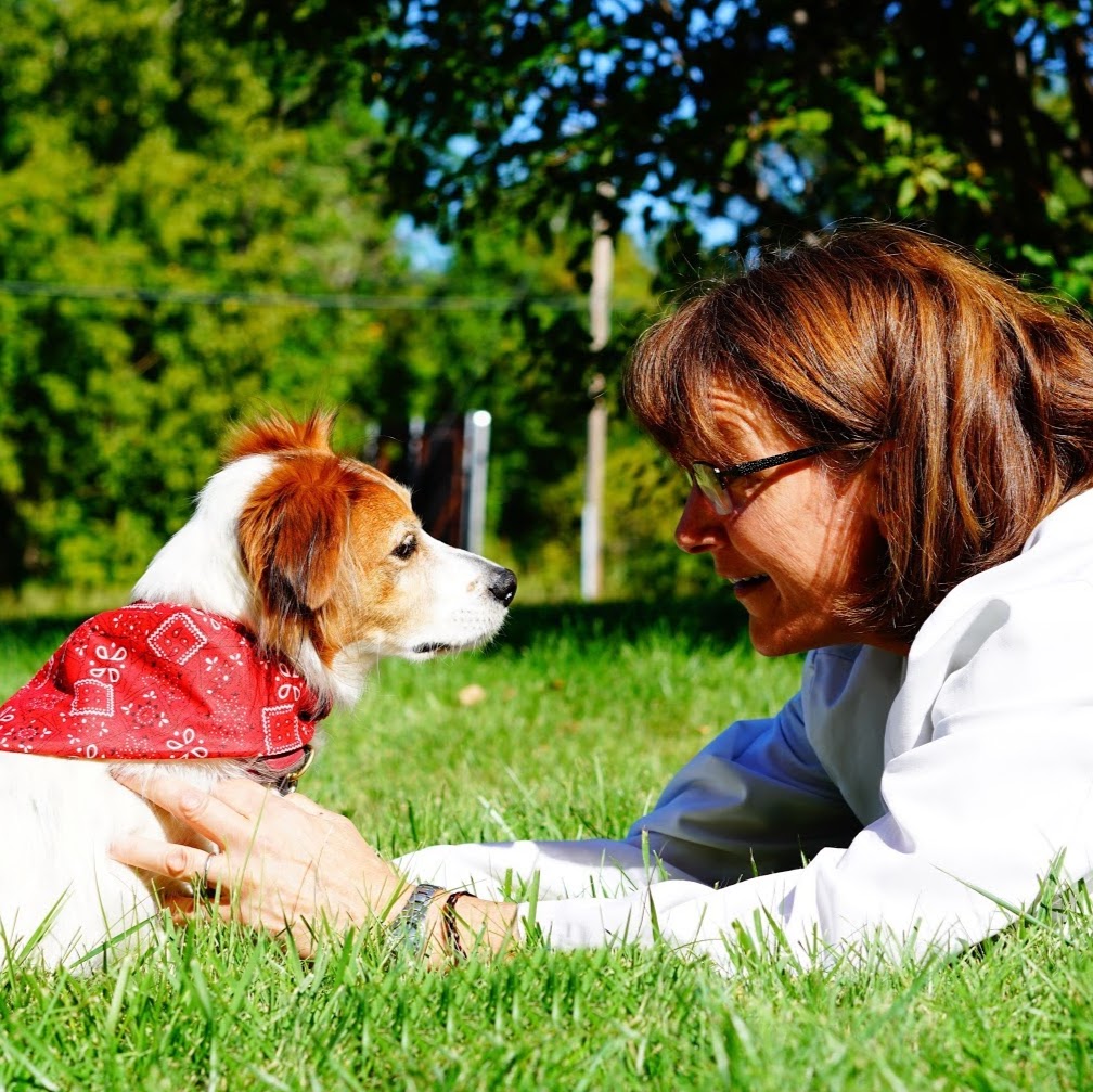 Capitaland Animal Hospital - Latham , United States