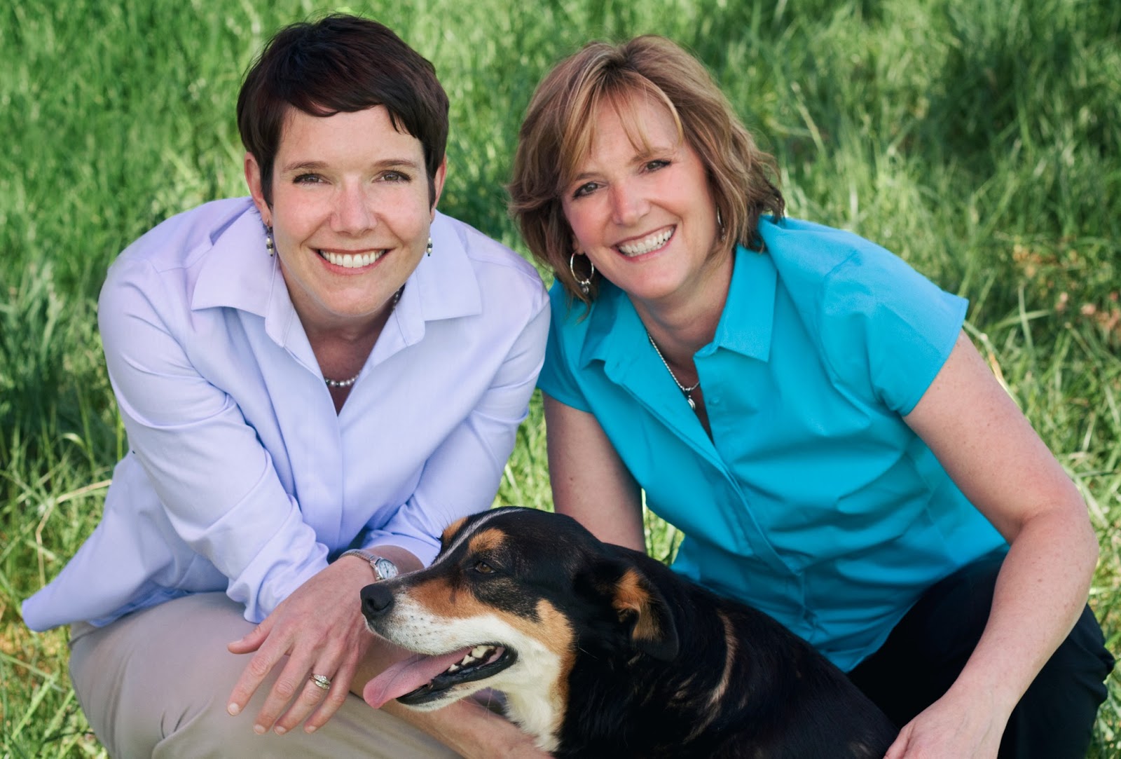 Big Springs Veterinary Hospital Pllc - Maryville , United States