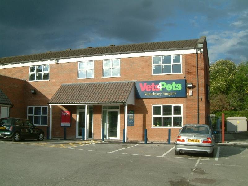 Vets4Pets Weston Super Mare - Weston-super-Mare , United Kingdom